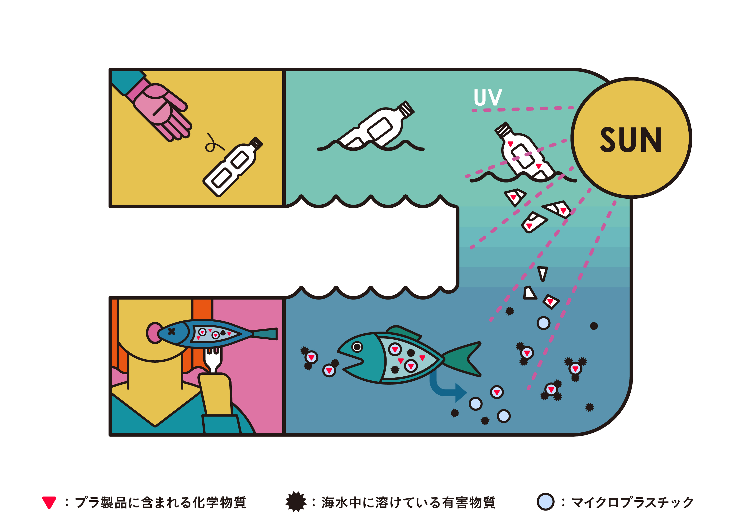 マイクロプラスチック P K G Magazine デザインとブランドの話